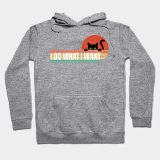 I Do What I Want Hoodie